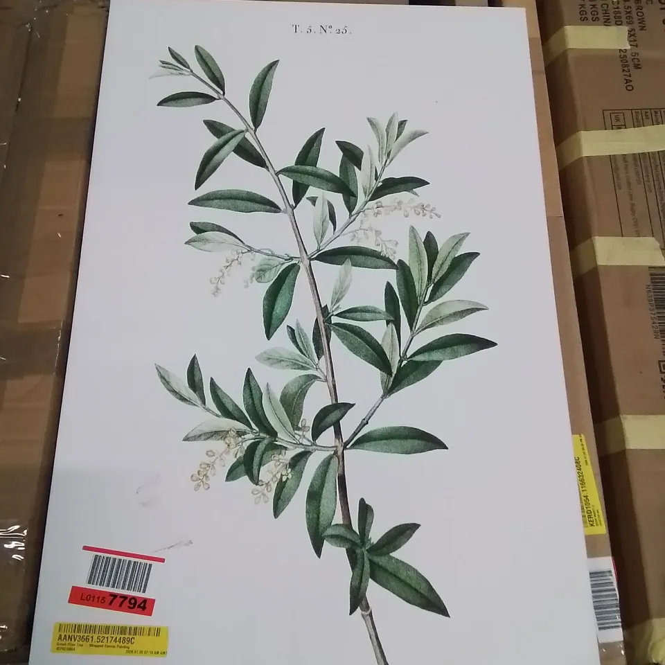 GREEN OLIVE TREE WRAPPED CANVAS PAINTING 
