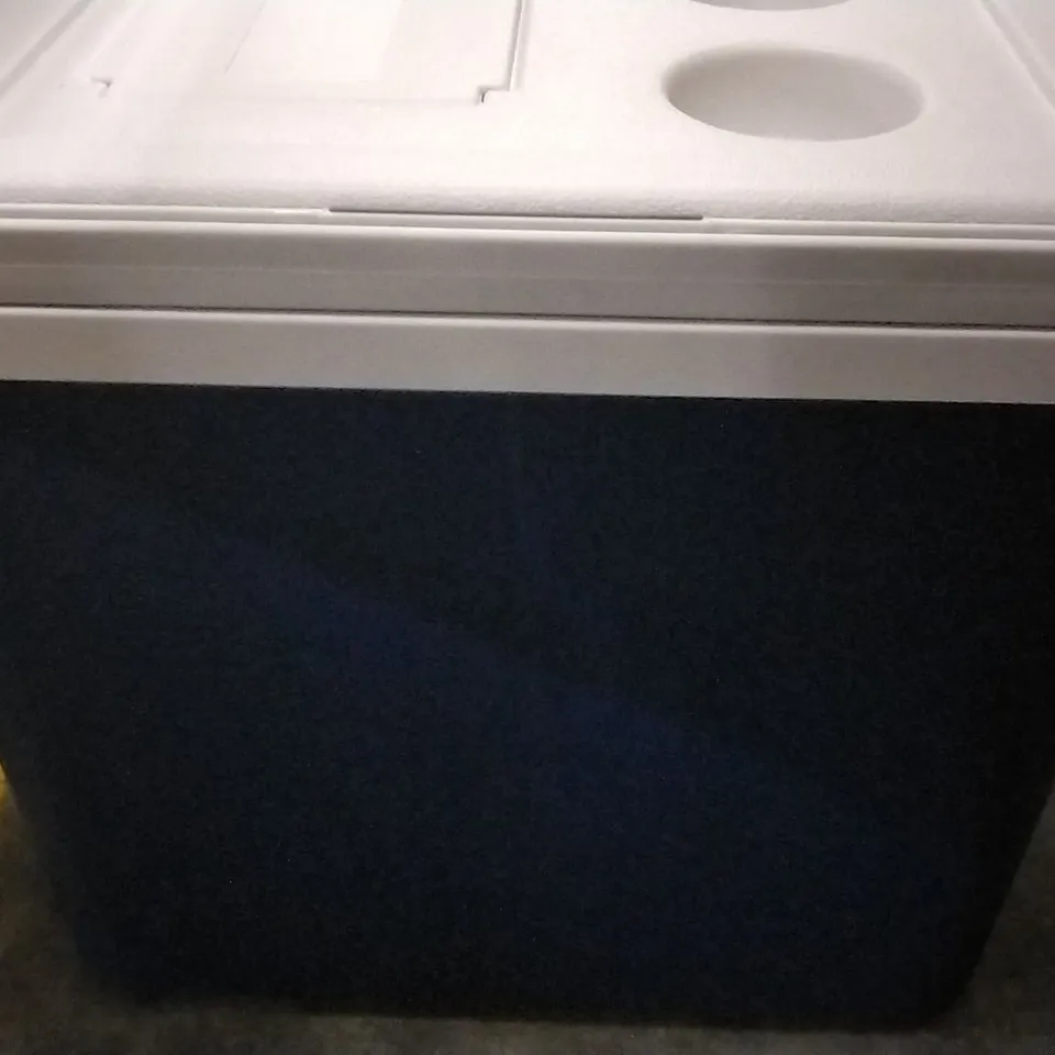 DESIGNER PORTABLE COOLER IN BLUE/WHITE