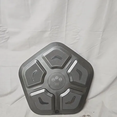 INTELLIGENT MUSIC BOXING TARGET