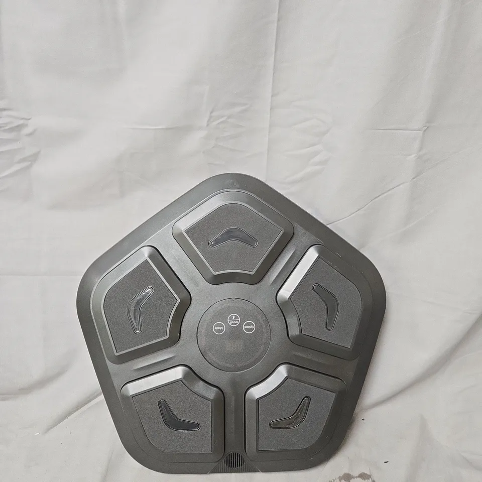 INTELLIGENT MUSIC BOXING TARGET