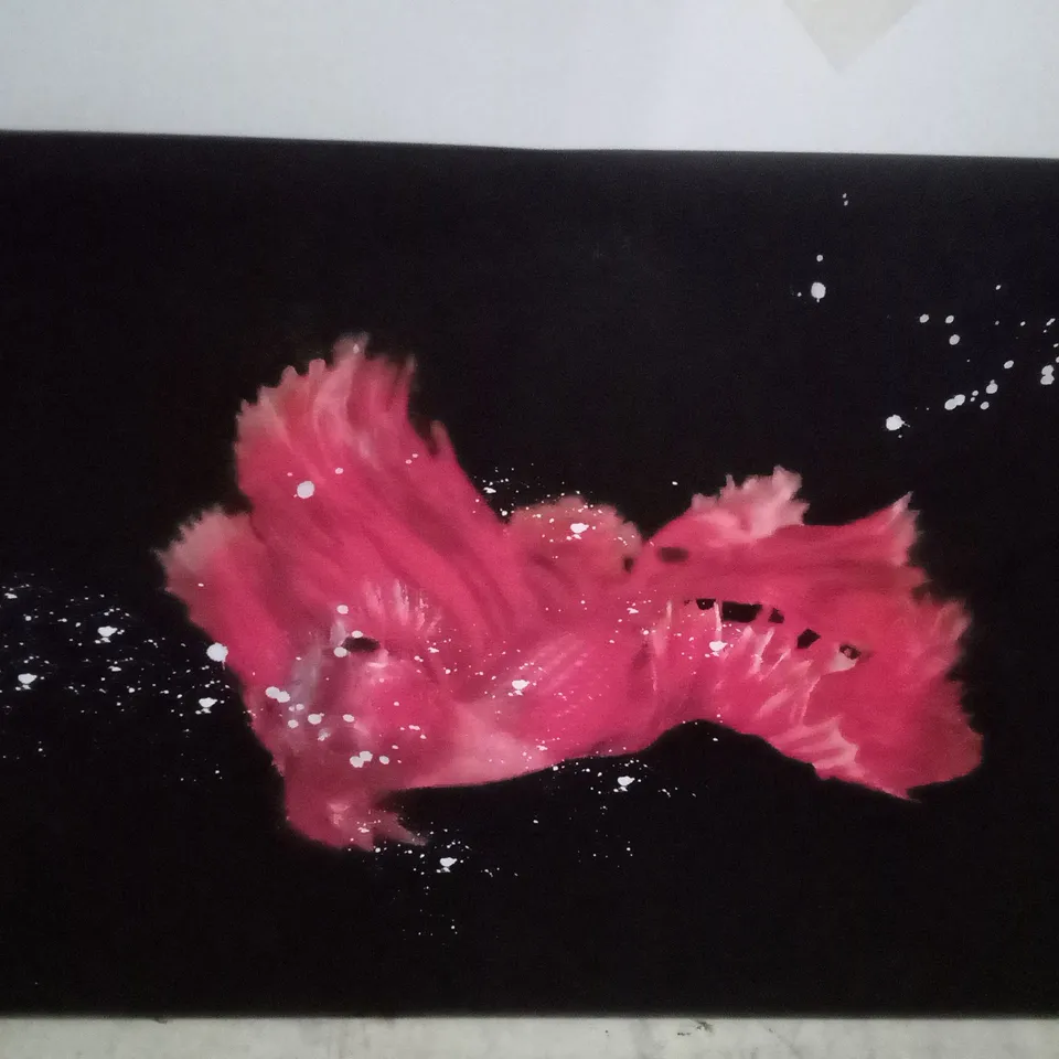 RED SIAMESE FIGHTING FISH - WRAPPED CANVAS PRINT 