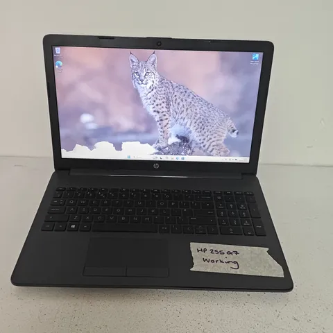 UNBOXED HP 255 G7 LAPTOP IN GREY