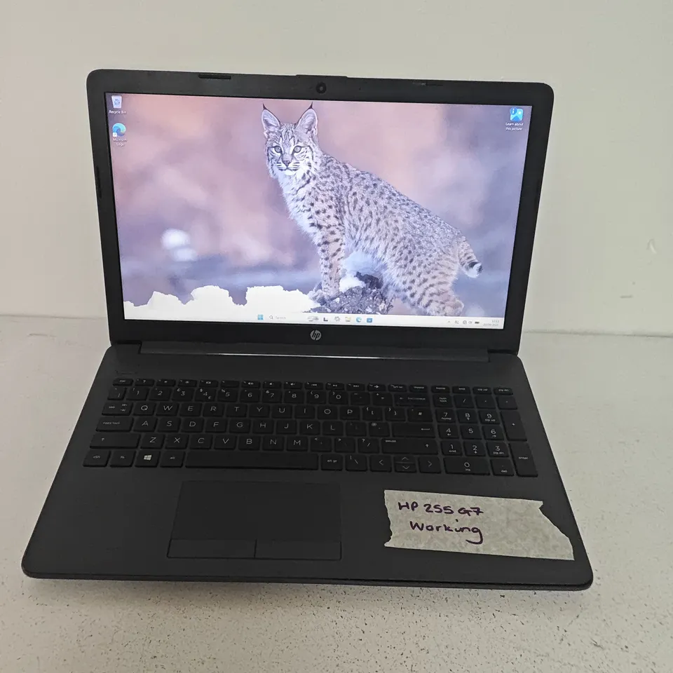 UNBOXED HP 255 G7 LAPTOP IN GREY
