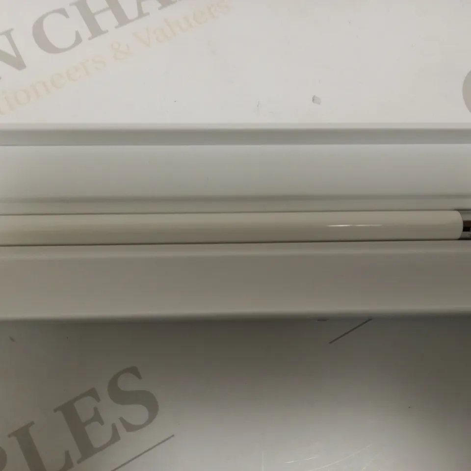 APPLE PENCIL (1ST GENERATION)