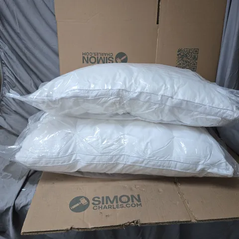 2 X PILLOWS
