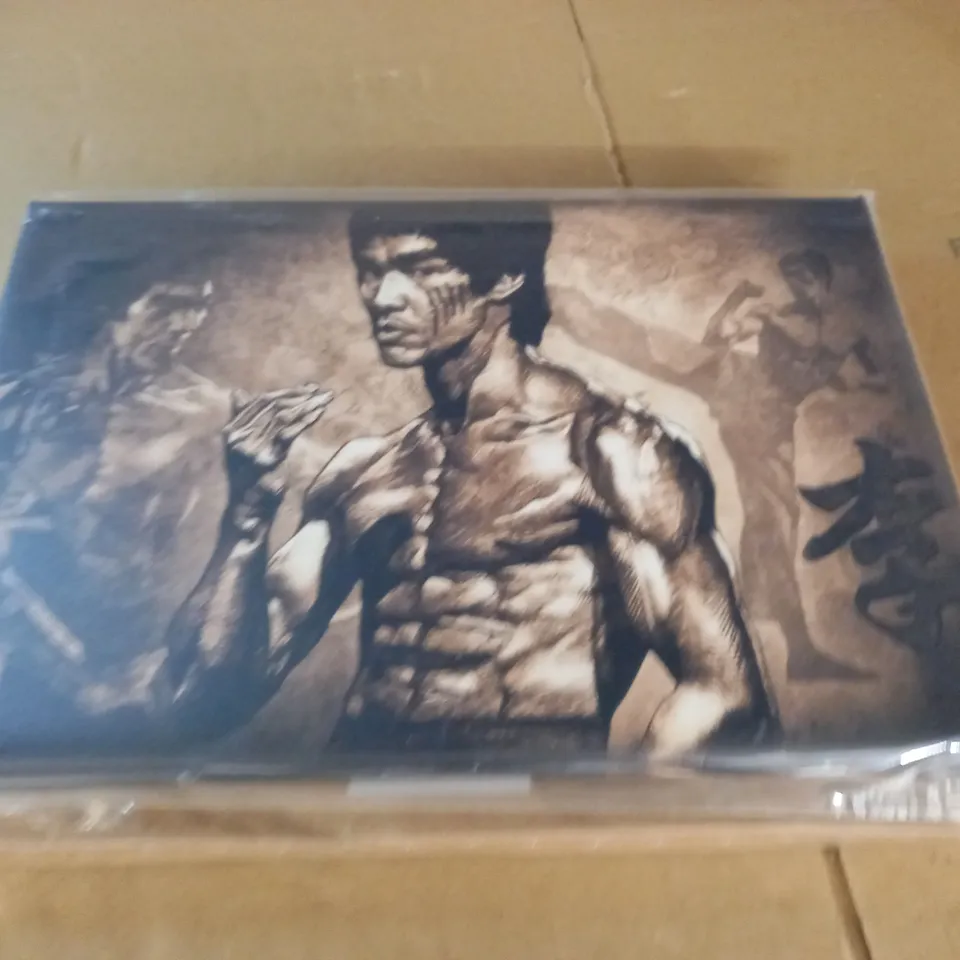bruce lee themed canvas wall art - 45x30cm