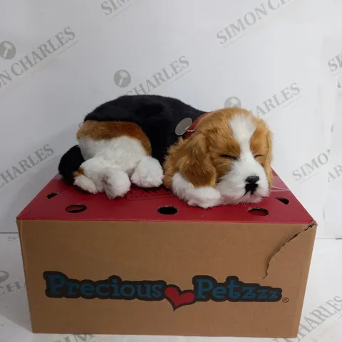 BOXED PRECIOUS PETZZZ BEGAL