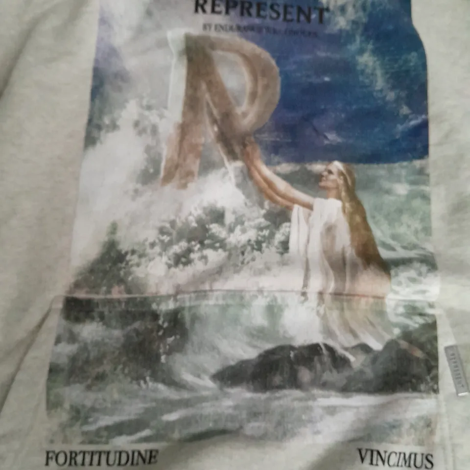 REPRESENT HIGHER TRUTH HOODIE IN CREAM MARL - M