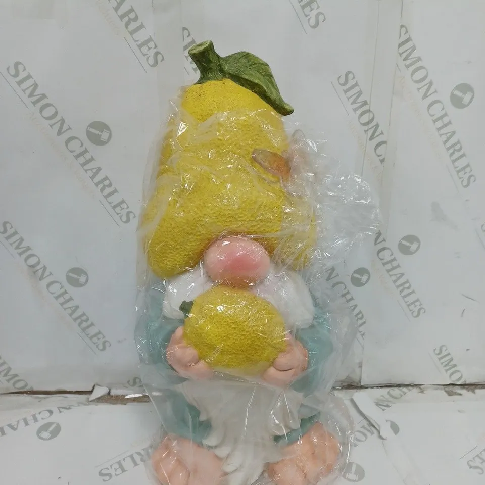 OUTDOOR LEMON KNOME DECOR