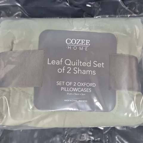 COZEE HOME SET OF 2 OXFORD PILLOWCASES IN GREEN