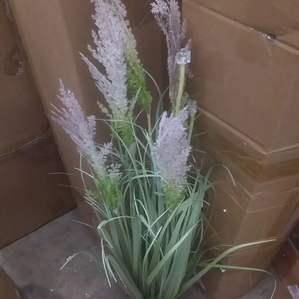 BOXED LED PAMPAS GRASS