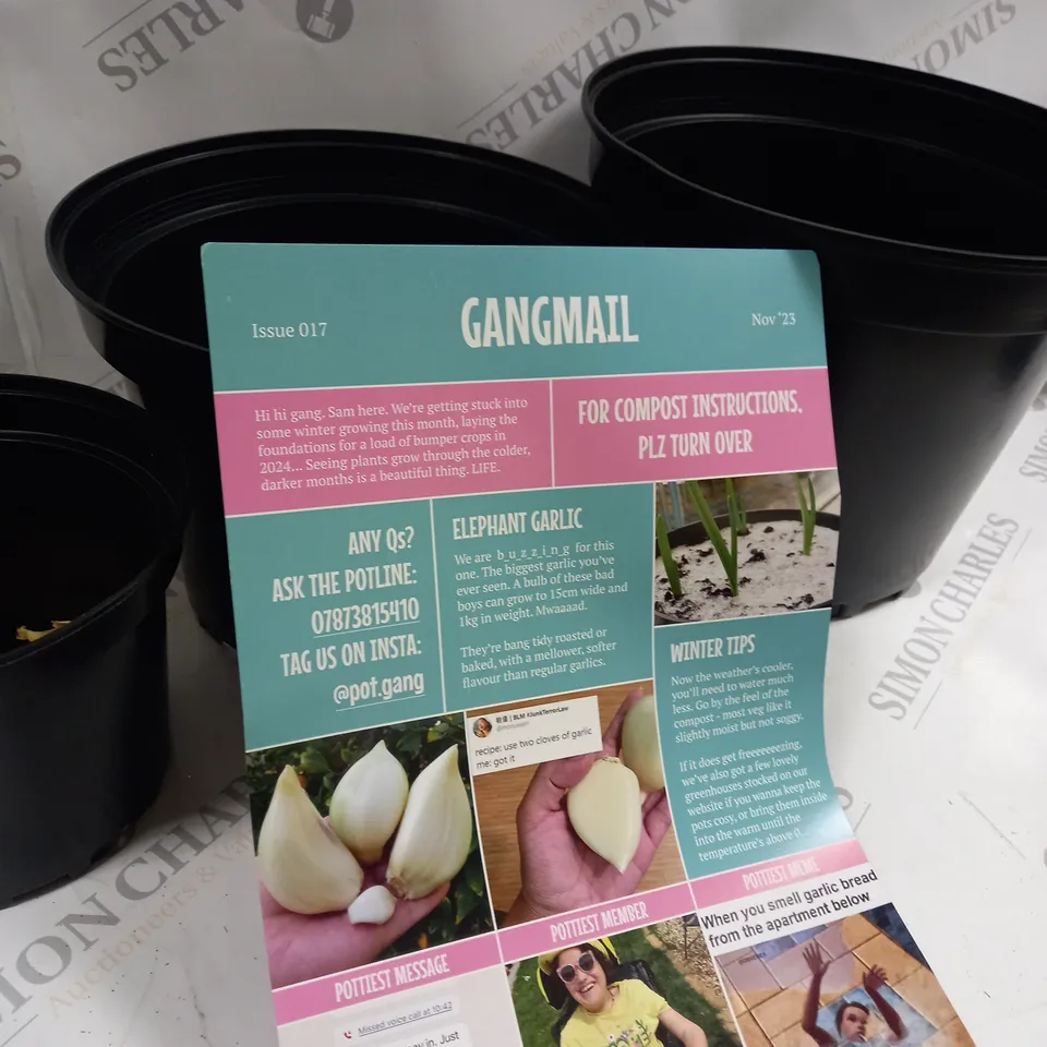 BOXED 3 X PLANT POT SET WITH COMPOST 