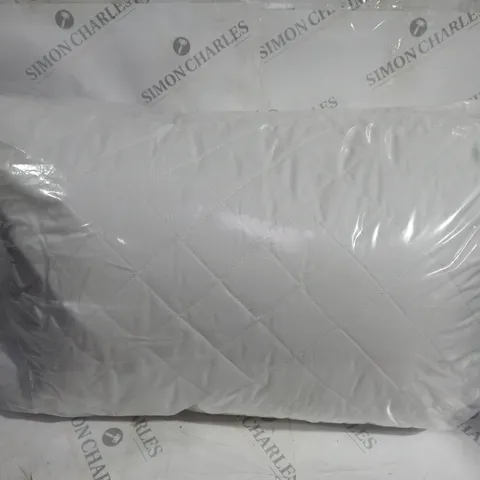 SET OF 2 UNBRANDED PILLOWS IN WHITE
