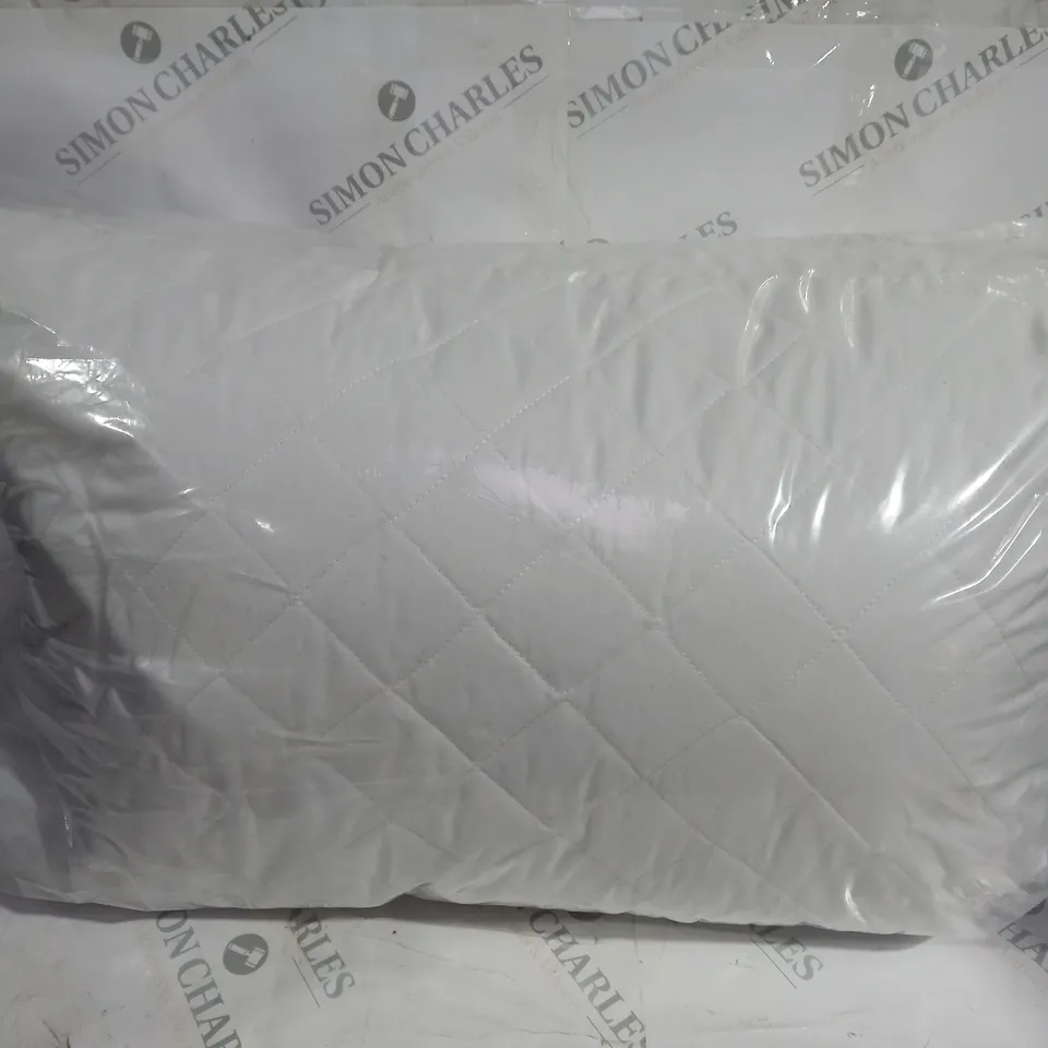 SET OF 2 UNBRANDED PILLOWS IN WHITE