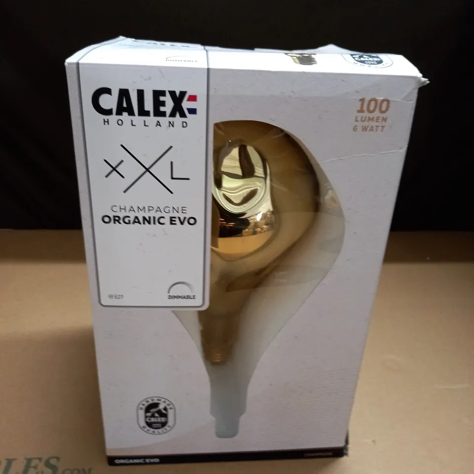 CALEX XXL CHAMPAGNE ORGANIC EVO DIMMABLE BULB