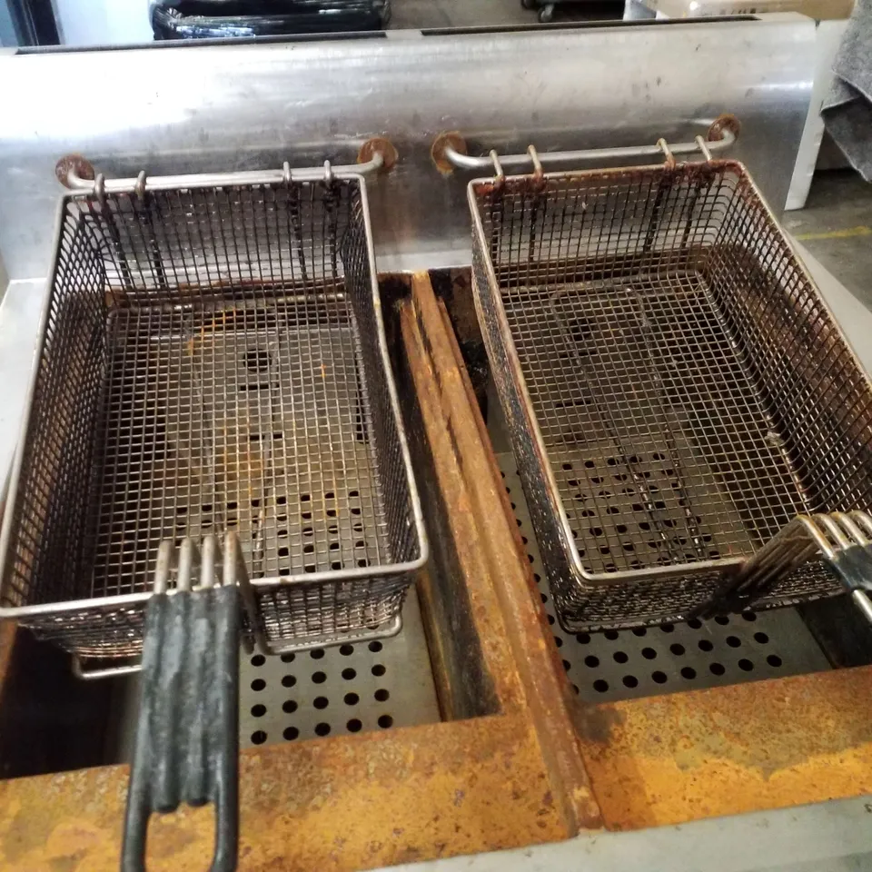 LINCAT TWIN TANK GAS FRYER