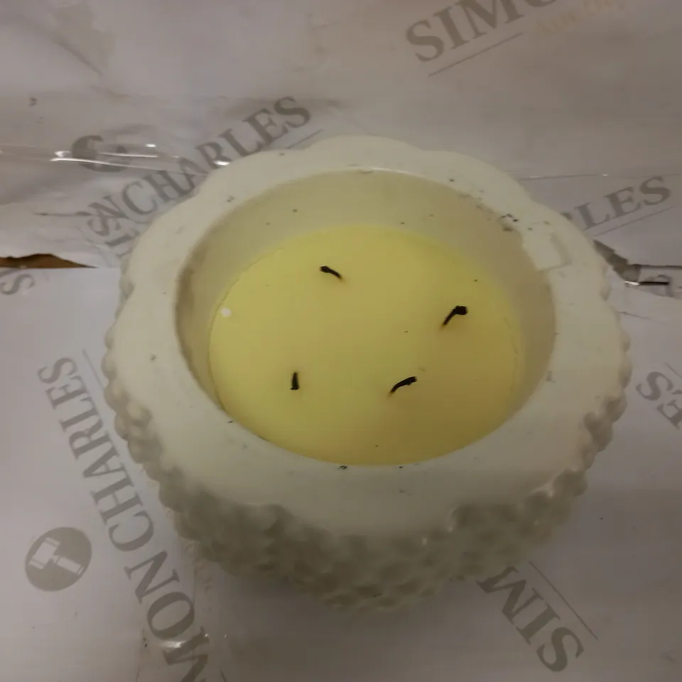 HOMEWORX BY SLATKIN & CO. CERAMIC HOBNAIL PUMPKINS - WHITE