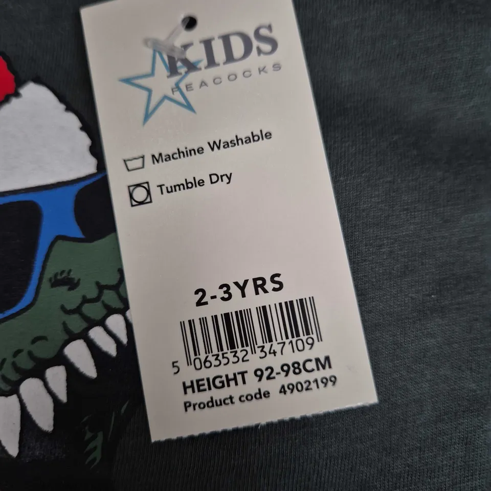 Kids’ Hooded Jacket & T‑Shirt Set – Dinosaur Santa Graphic, 2–3 Years (92–98 cm)