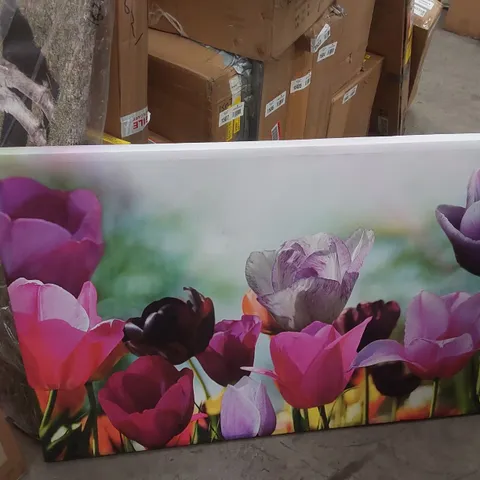 MULTIPLE COLOURED TULIPS - WRAPPED CANVAS PRINT