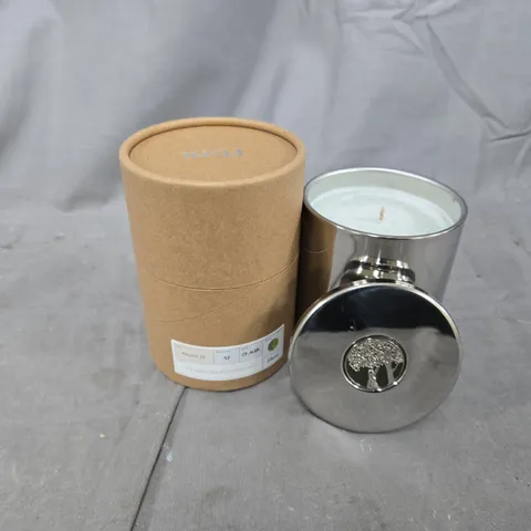 BOXED FFERN AUTUMN 25 CRAB APPLE, BLUE CHAMOMILE & PEAR SCENTED CANDLE