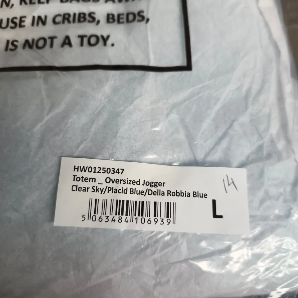 HOODRICH TOTEM OVERSIZED JOGGER – BLUE (SIZE L)