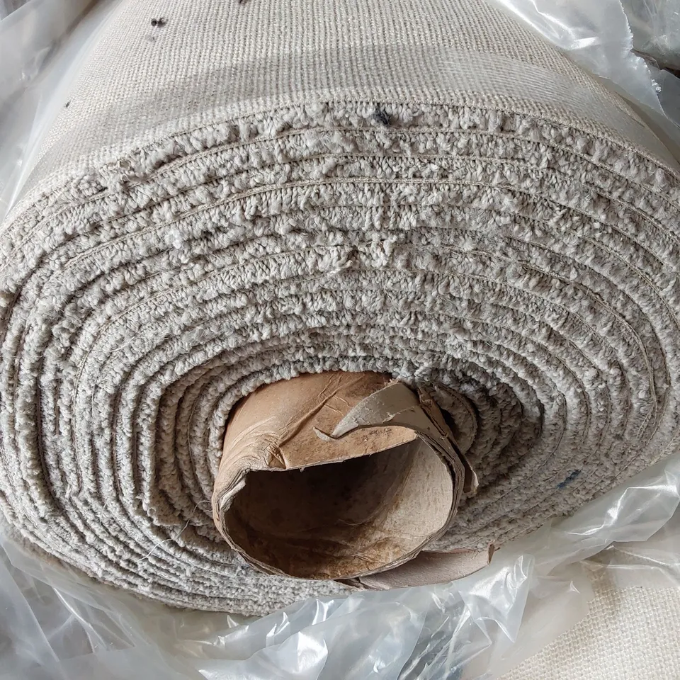 ROLL OF QUALITY PIONEER BRAVE CARPET - APPROXIMATELY 12.5 x 5M
