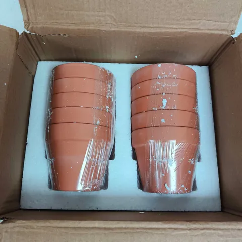 TERRACOTTA PLANT POTS SET