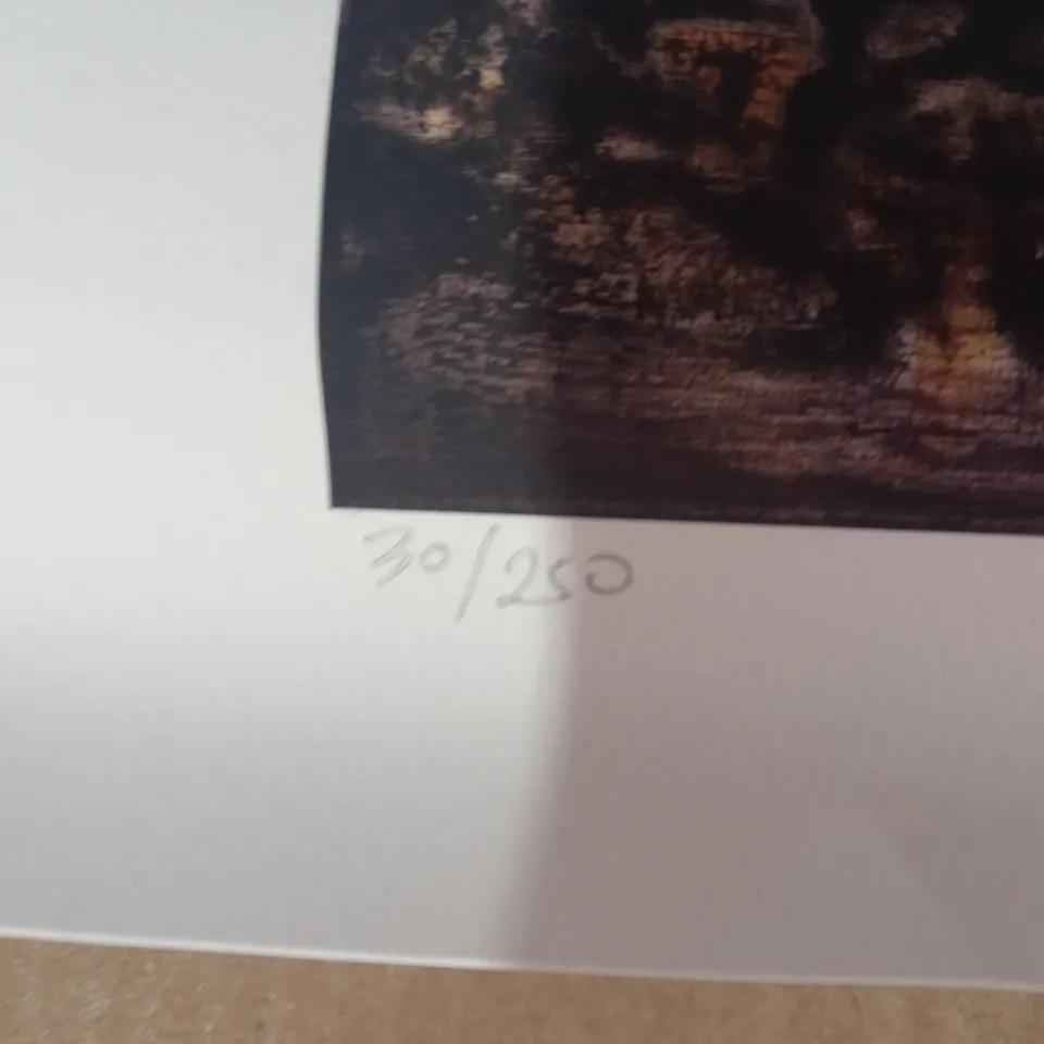 PAULINA OLOWSKA SIGNED LIMITED EDITION ARTWORK (30/250)