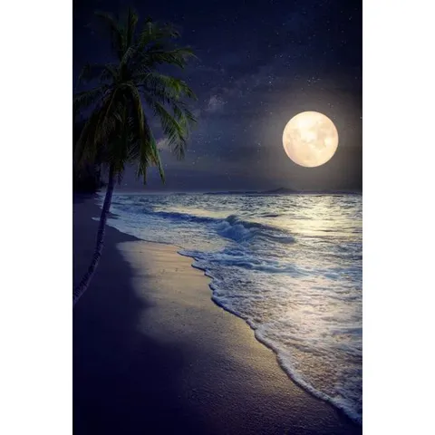 BEACH AND FULL MOON PRINT