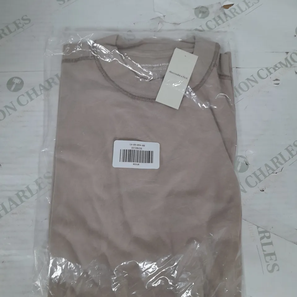 ABERCROMBIE & FITCH SOFT VINTAGE INSPIRED FIT TEE IN BEIGE SIZE M
