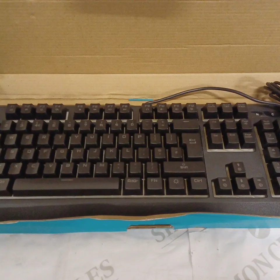 RAPOO CHROMA KEYBOARD 