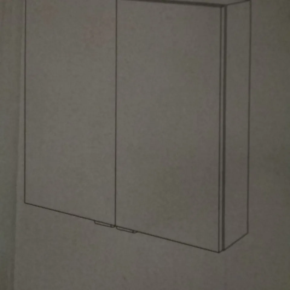 BOXED IMANDRA 60 X 60CM SLIM WALL CABINET - OAK EFFECT 