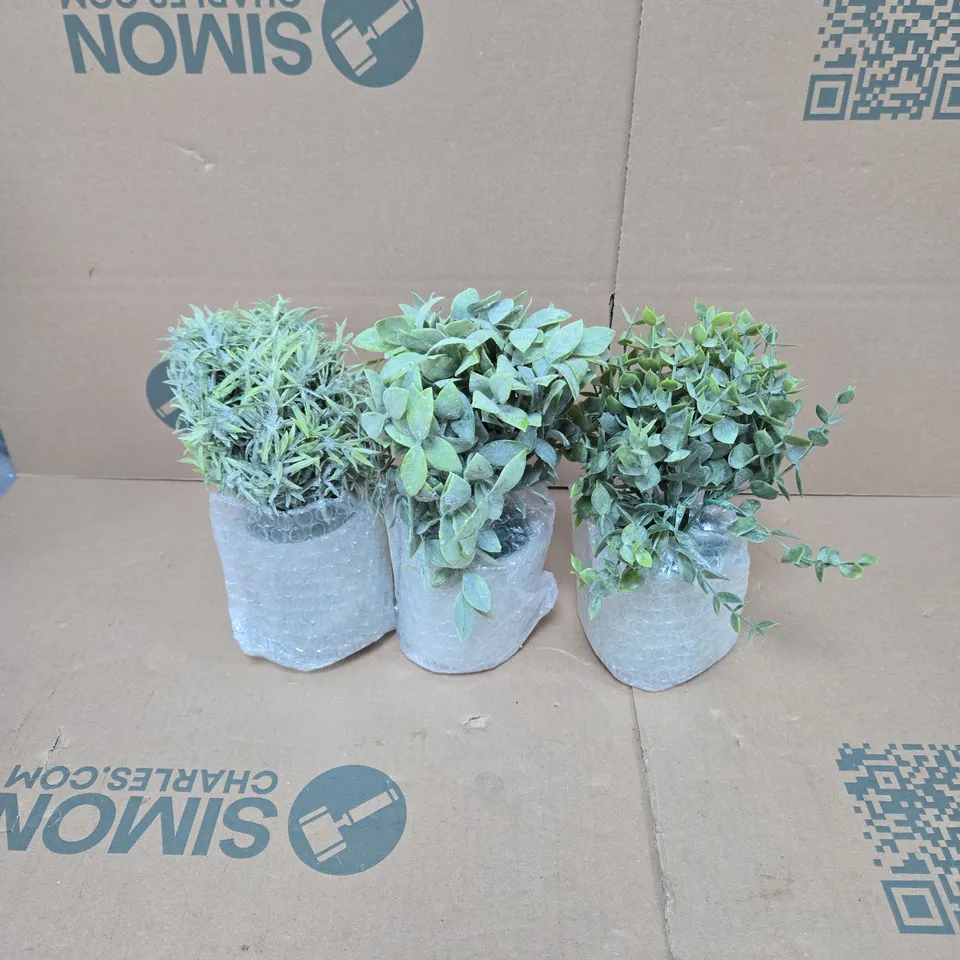 3 X HOME STYLING DECORATIVE PLANTS IN POTS UNBOXED