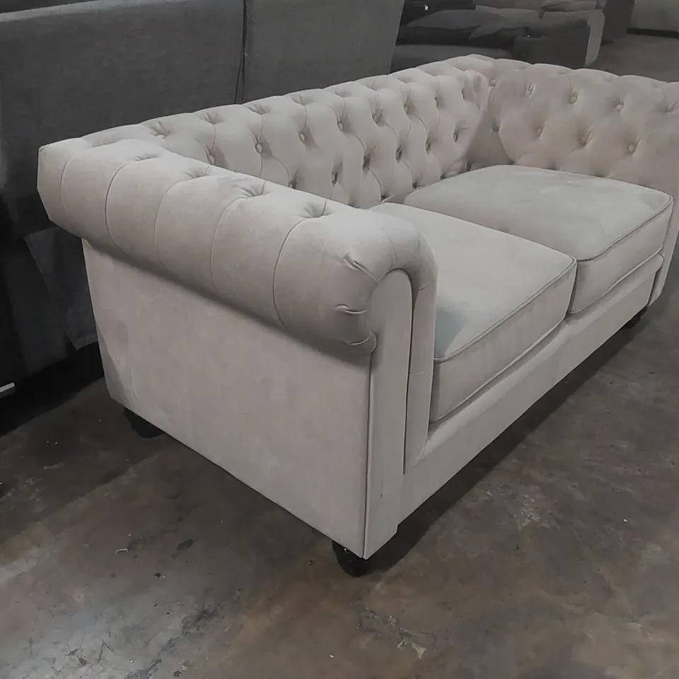 QUALITY DESIGNER HAMPTON 2 SEATER CHESTERFIELD SOFA, CHAMPAGNE CLASSIC VELVET