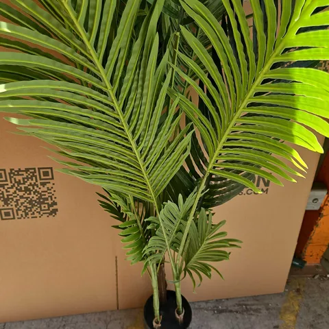 MEDIUM PLASTIC PLANT 