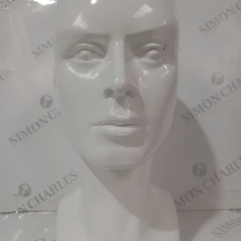 UNBRANDED PLASTIC MANNEQUIN HEAD IN WHITE