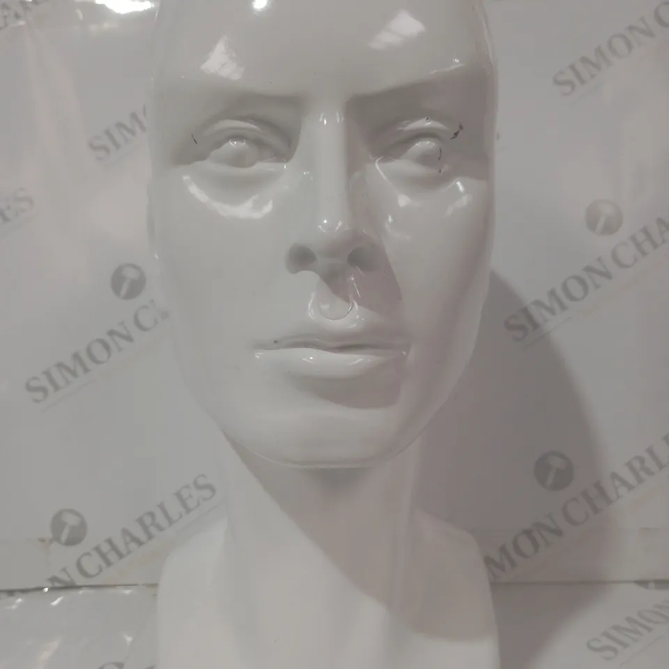 UNBRANDED PLASTIC MANNEQUIN HEAD IN WHITE