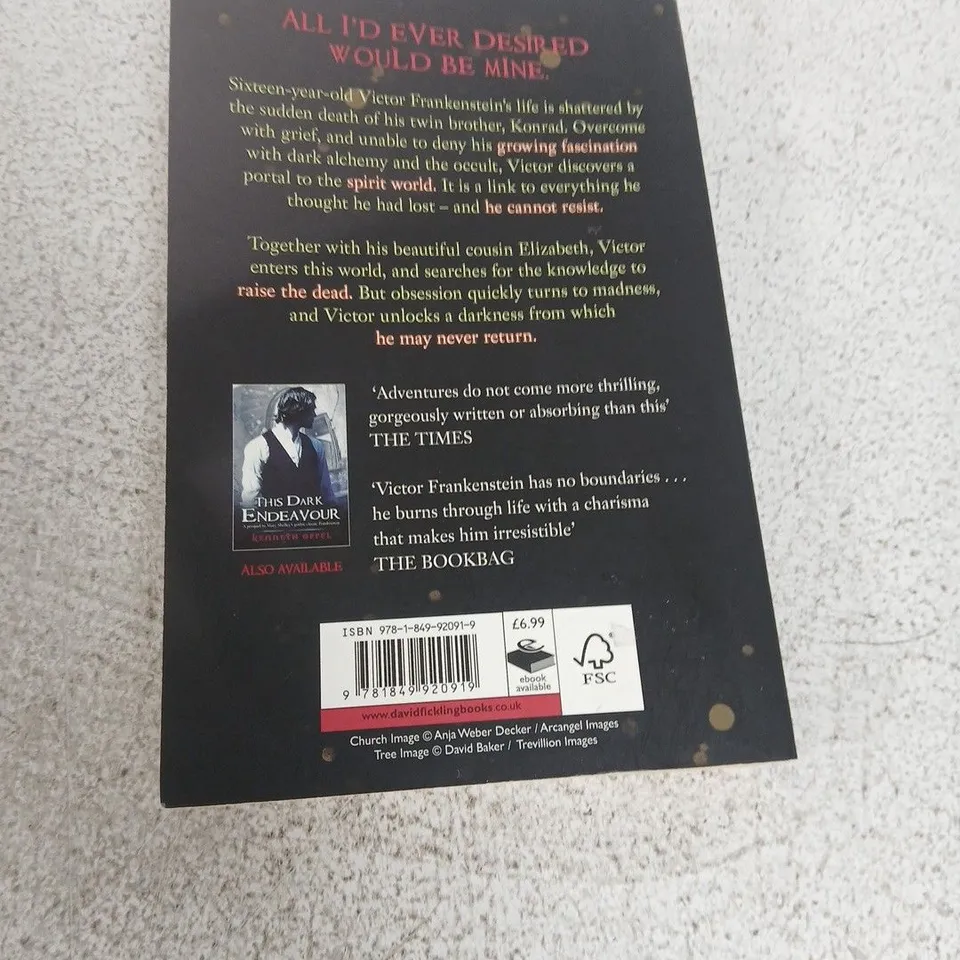 SUCH WICKED INTENT – KENNETH OPPEL, PAPERBACK (UK EDITION)