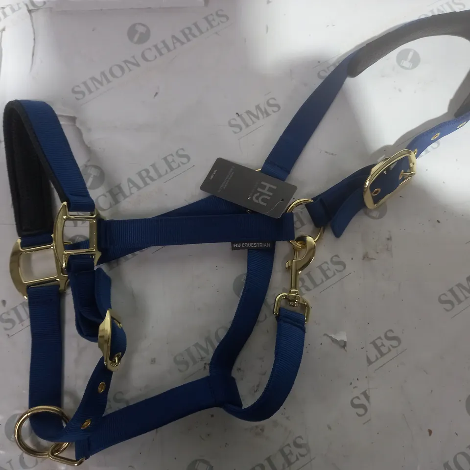 HORSE REIN  IN BLUE 