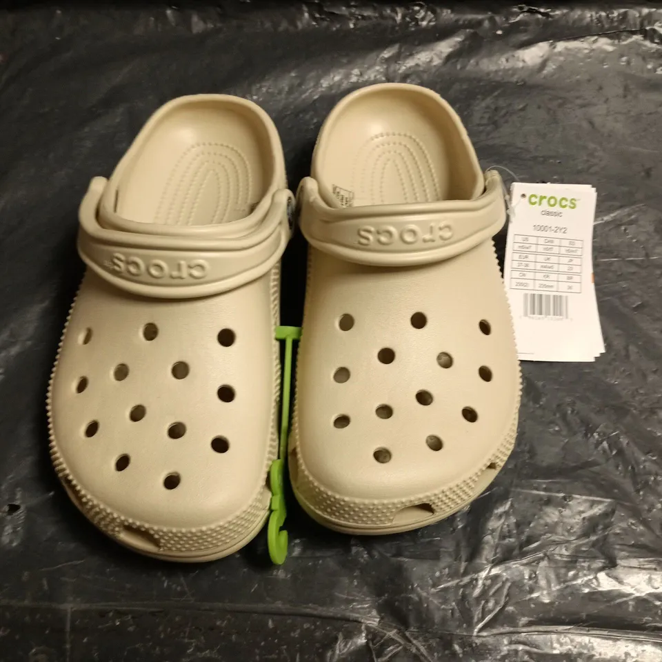 CROCS CLASSIC IN BONE WHITE - UK M4/W4