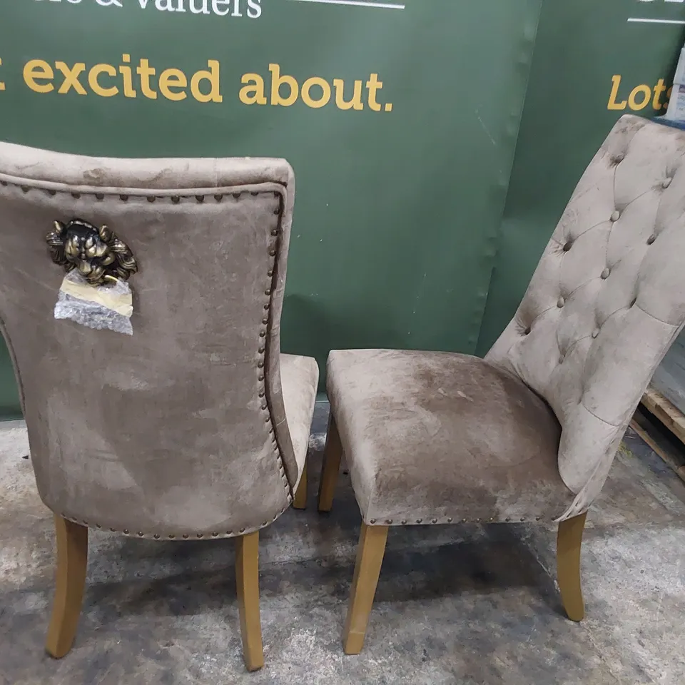 PAIR OF UPHOLSTERED BUTTONED LION HEAD RING BACK DINING CHAIRS FAWN PLUSH FABRIC ON NATURAL WOOD LEGS
