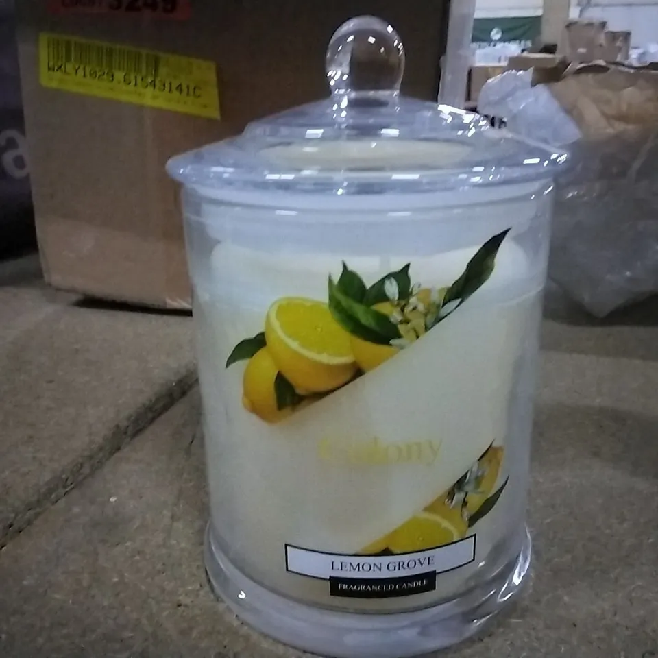 BOXED COLONY LEMON GROVE SCENTED JAR CANDLE 