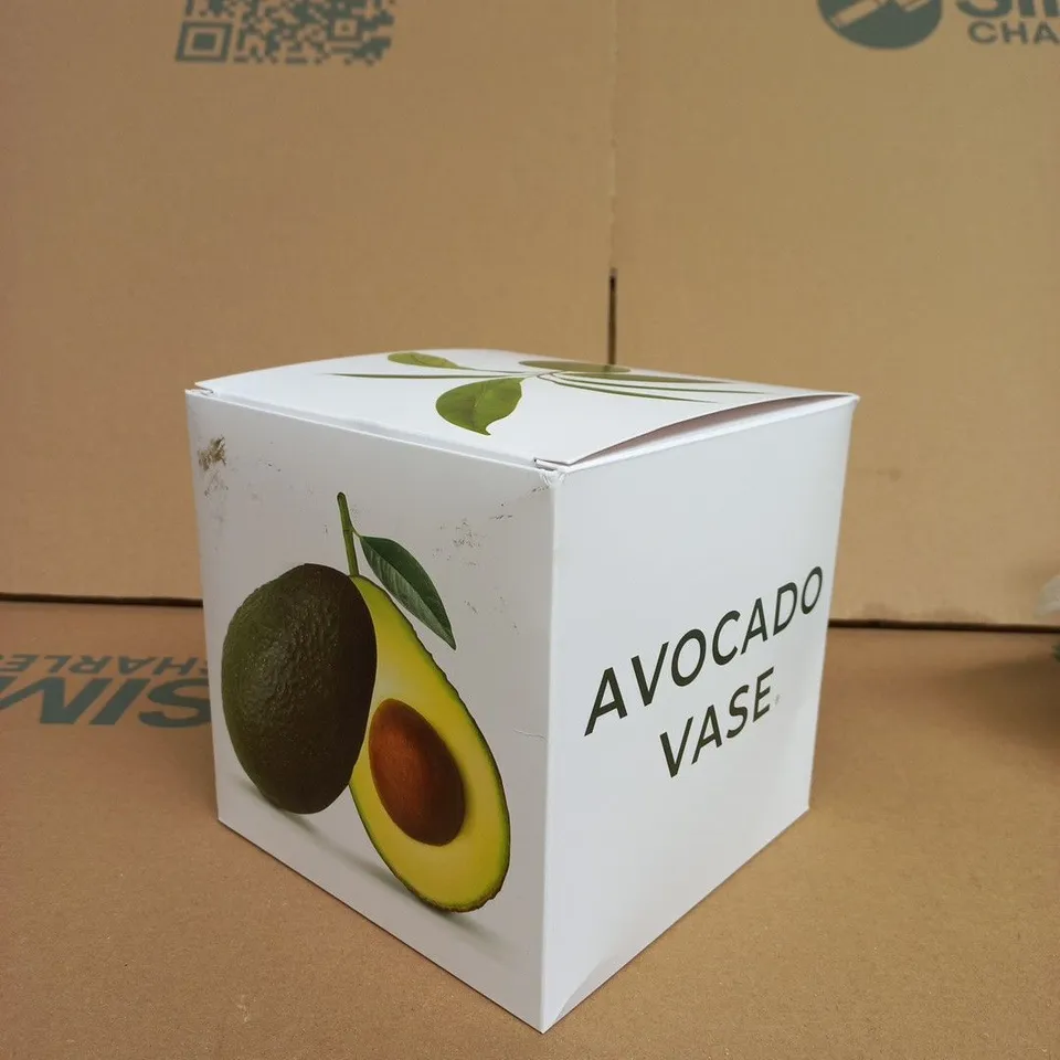 GREEN AVOCADO GLASS VASE