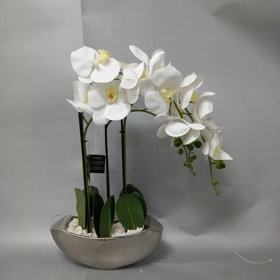 BOXED JM BY JULIEN MACDONALD REAL TOUCH FAUX ORCHID