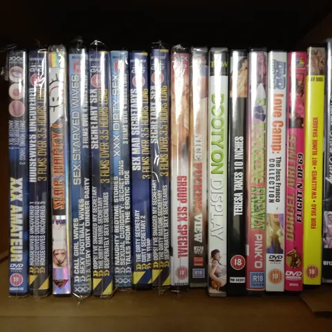 LOT OF 17 ASSORTED PORNOGRAPHIC DVDS