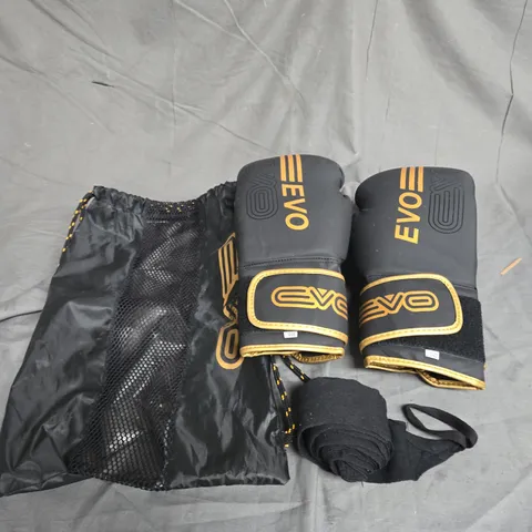 EVO 1O0Z BOXING GLOVES IN BLACK/GOLD