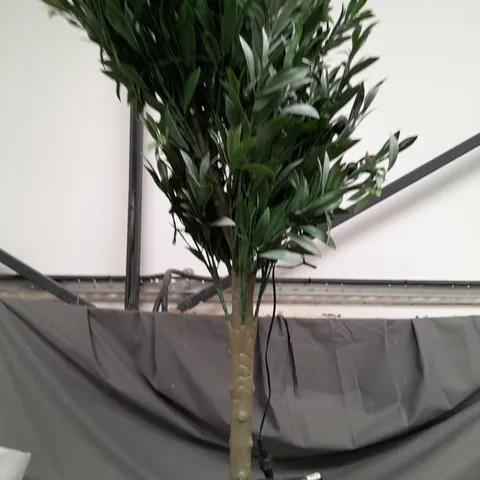 BOXED MY GARDEN STORIES BUSHY LED OLIVE TREE