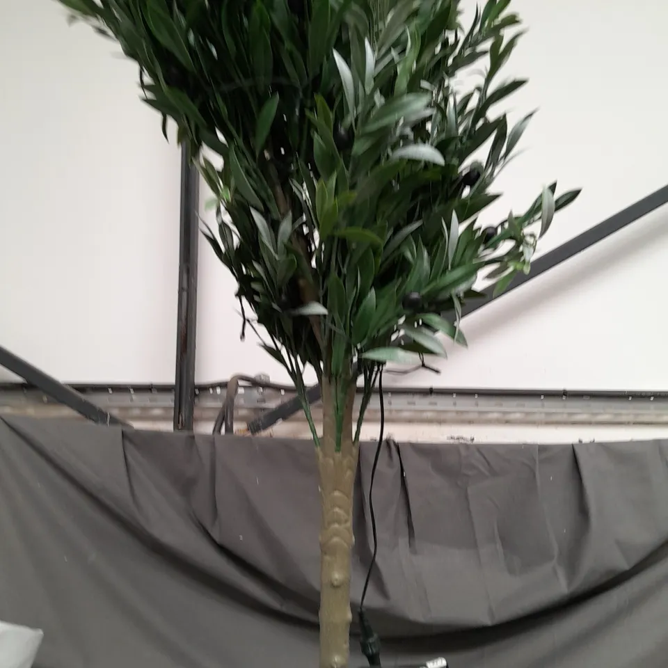 BOXED MY GARDEN STORIES BUSHY LED OLIVE TREE