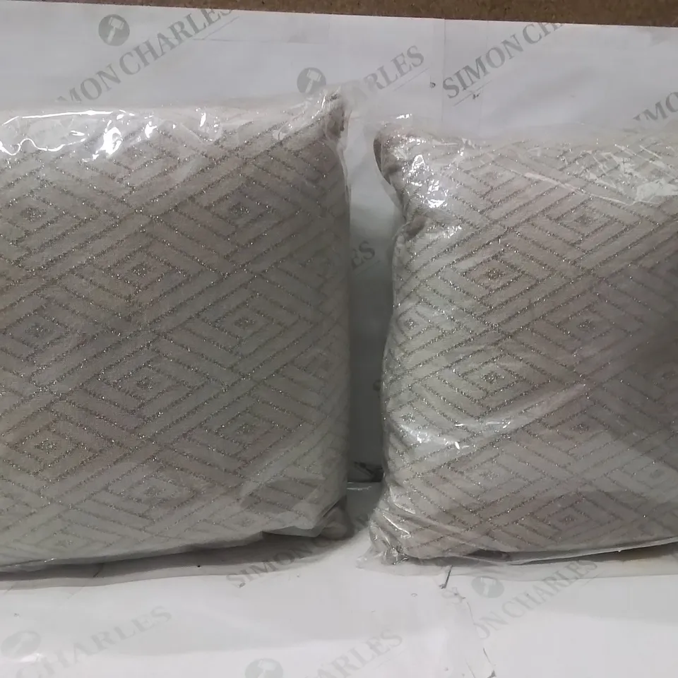 BRAND NEW SEALED SET OF 2 PIMLICO CUSHION COLOUR STONE