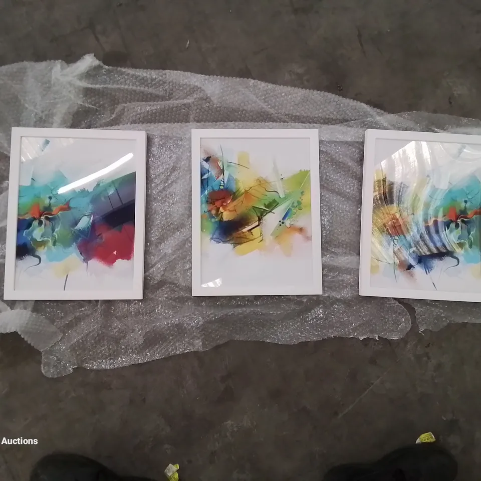 BOXED PICTURE FRAME PAINT PRINTS 